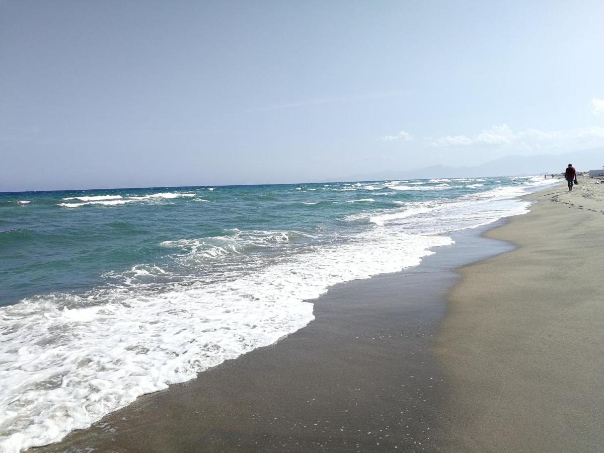 Agreable Studio 50M De La Plage カネ エクステリア 写真